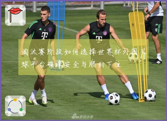 淘汰赛阶段如何选择世界杯外围买球平台确保安全与顺利下注