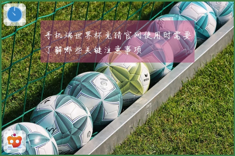 手机端世界杯竞猜官网使用时需要了解哪些关键注意事项