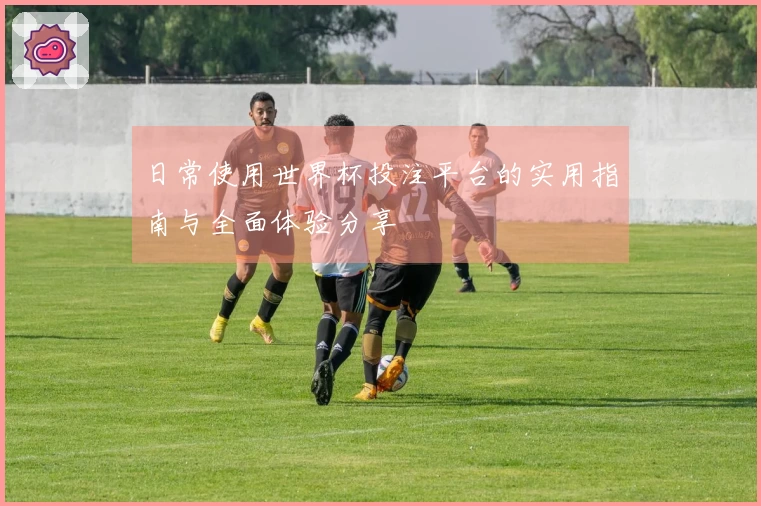 日常使用世界杯投注平台的实用指南与全面体验分享