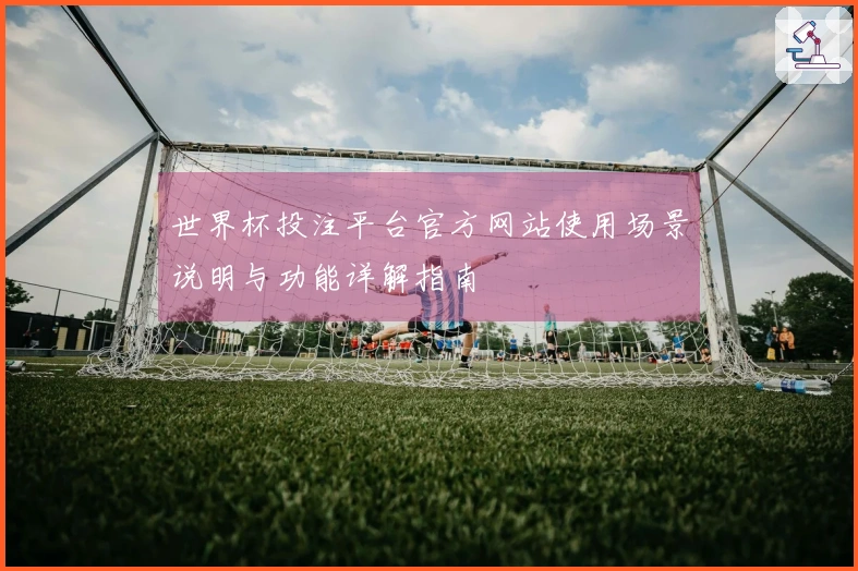 世界杯投注平台官方网站使用场景说明与功能详解指南