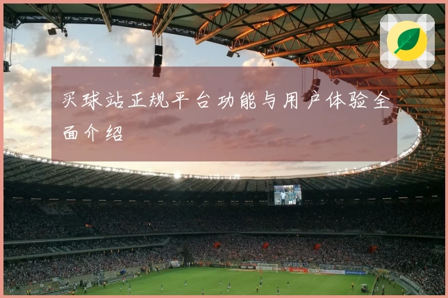 买球站正规平台功能与用户体验全面介绍
