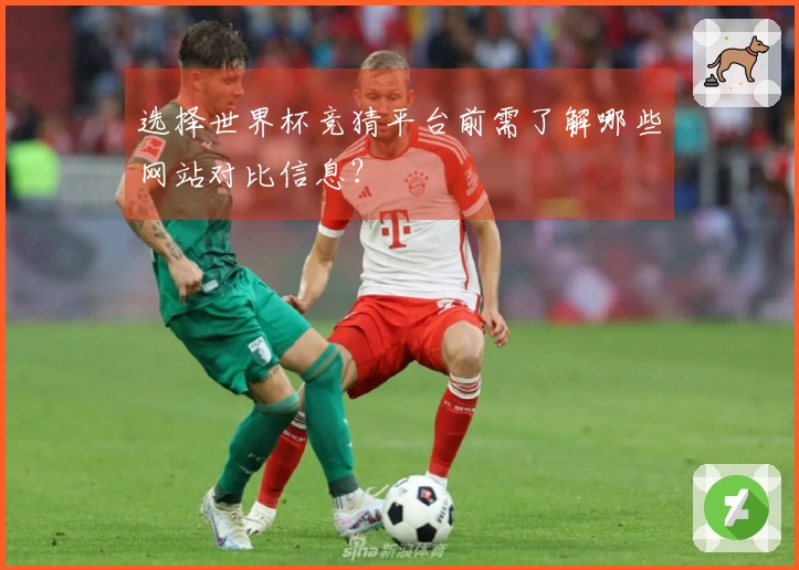 选择世界杯竞猜平台前需了解哪些网站对比信息？