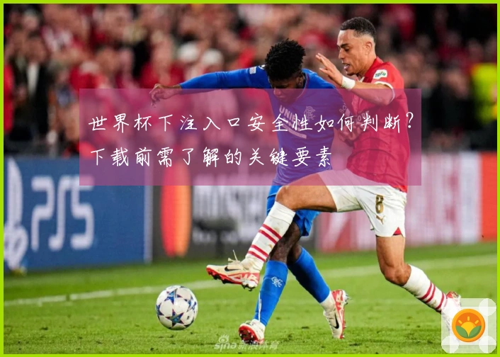 世界杯下注入口安全性如何判断？下载前需了解的关键要素