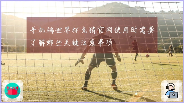 手机端世界杯竞猜官网使用时需要了解哪些关键注意事项